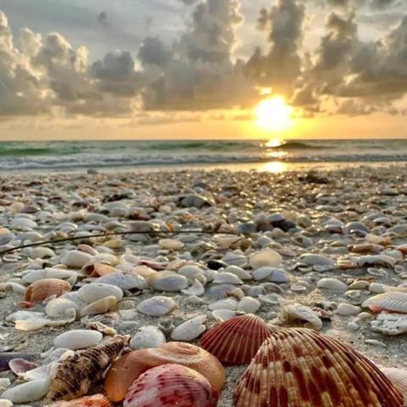 Meet your Posher, Joanne - Picture 1 of 1